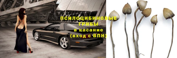 спиды Михайлов