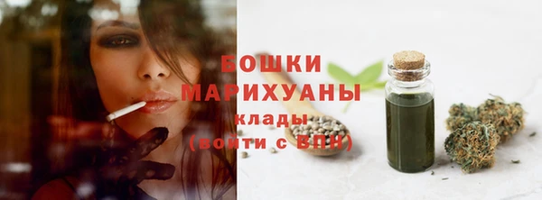 шишки Михайловка