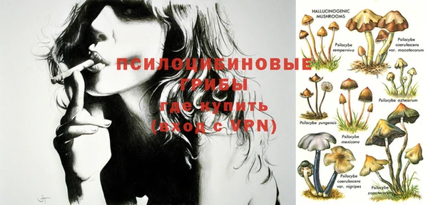 шишки Михайловка