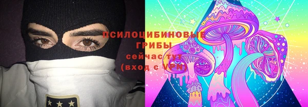 шишки Михайловка
