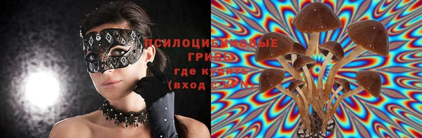 спиды Михайлов